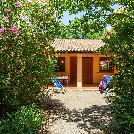 Trilo Begonia Farm stay *