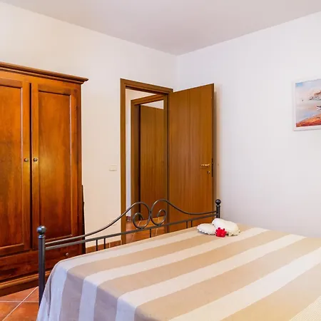 Trilo Begonia Farmház