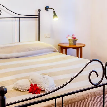 Trilo Begonia * Marina di Grosseto