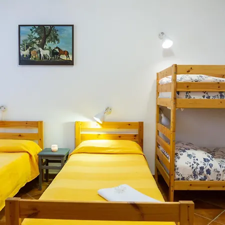 Trilo Begonia * Marina di Grosseto