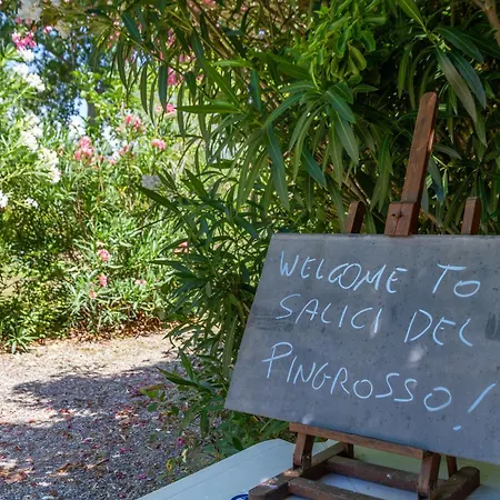 Trilo Begonia Farmház