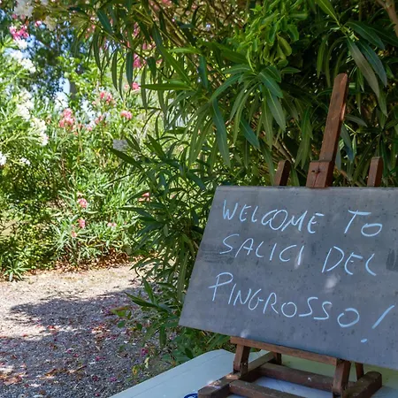 Trilo Begonia Farm stay