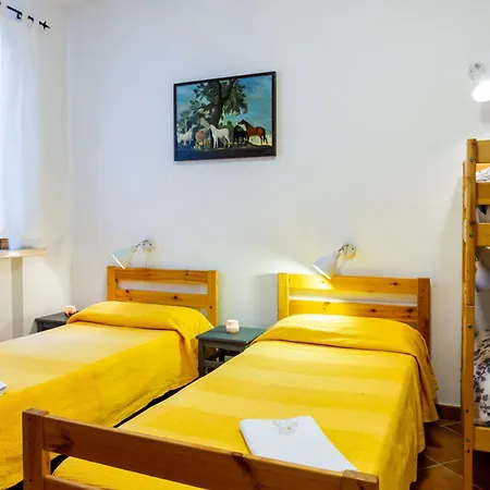 Farm stay Trilo Begonia