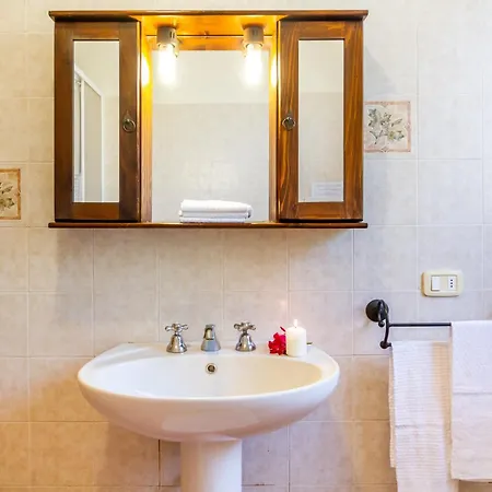 Trilo Begonia Marina di Grosseto