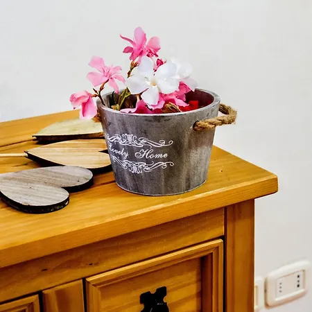 Trilo Begonia Farm stay *