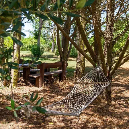 Trilo Begonia Farmház Marina di Grosseto